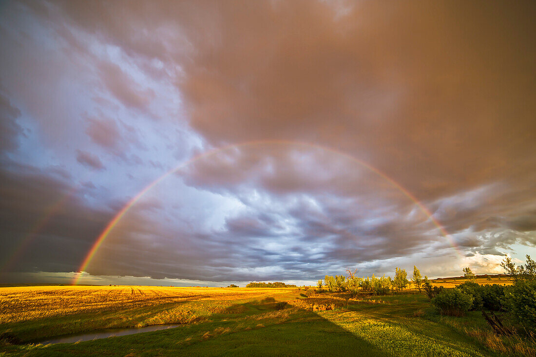 Ein Regenbogen bei Sonnenuntergang von Hom in Alberta, 31. Mai 2014, aufgenommen mit dem 14mm Rokinon Ultraweitwinkelobjektiv. Ein schwächerer äußerer Bogen ist ebenfalls zu sehen.