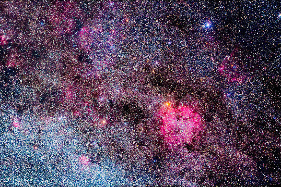 This is a portrait of the southern region of Cepheus the King that takes in the red emission nebulas in the constellation. The area is also laced with dark lanes of dust.