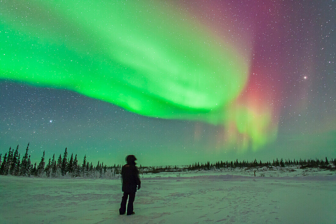 Das Polarlicht vom 3. und 4. Februar 2014, gesehen von Churchill, Manitoba, im Churchill Northern Studies Centre. Ich posierte für mein Selbstporträt unter den Sternen und Nordlichtern. Dies ist eine 30-Sekunden-Belichtung bei f/2.8 mit dem 24mm-Objektiv und ISO 2000 mit der Canon 5D MkII. Links geht Wega unter, rechts geht Arcturus auf.