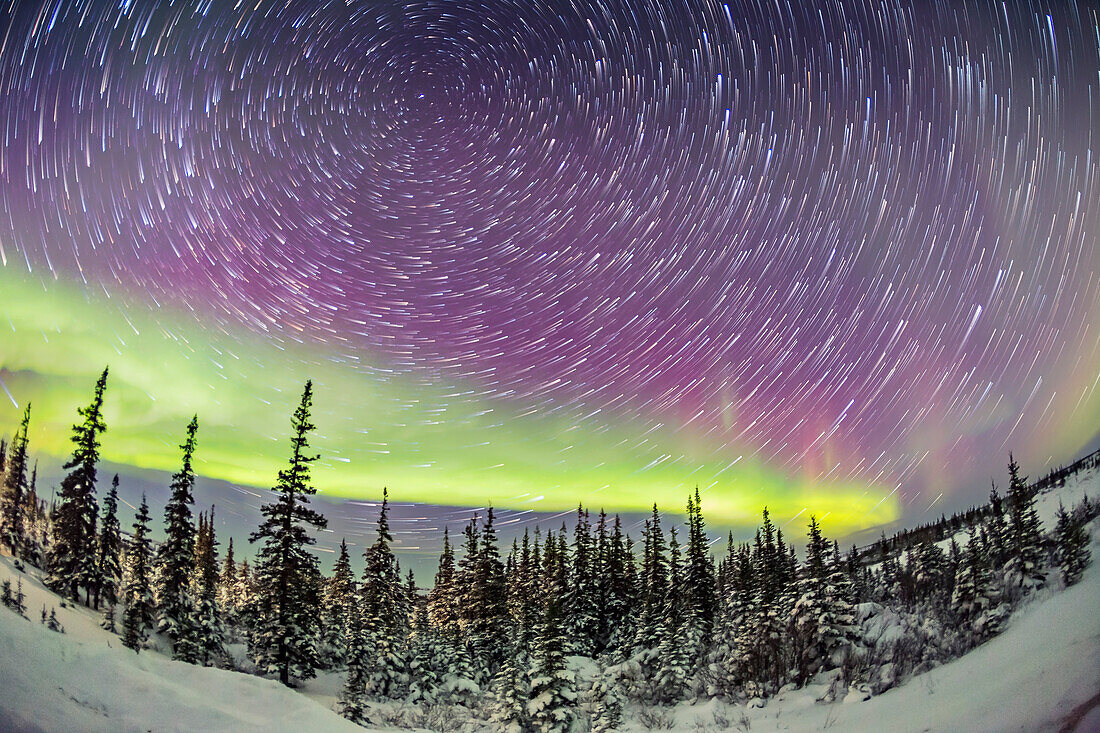 Zirkumpolare Sternenspuren und Polarlicht über dem borealen Wald am Churchill Northern Studies Centre, Churchill, Manitoba, am 9. Februar 2016.