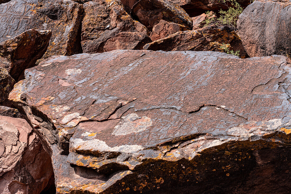 Pre-Hispanic indigenous rock carvings or petroglyphs in Talampaya National Park, La Rioja Province, Argentina.