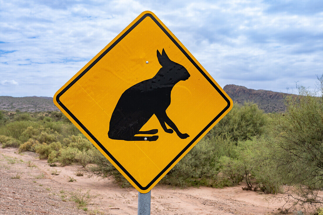 Ein Wildtier-Warnschild für die kaninchenartige Patagonische Mara im Talampaya-Nationalpark, Provinz La Rioja, Argentinien.