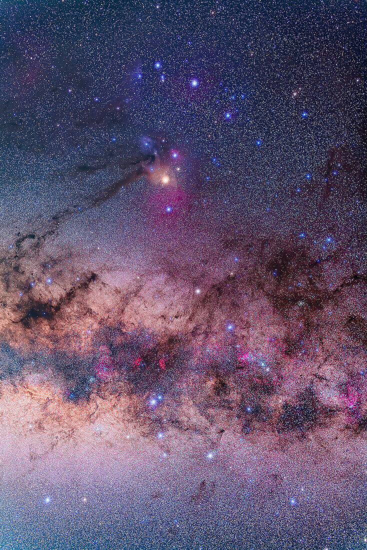 All of Scorpius, plus parts of Lupus and Ara regions of the southern Milky Way. This area was directly overhead when I took this at about 4:30 am local time on April 6, 2014 from near Coonabarabran, Australia. The head of Scorpius is at top his tail at bottom though you could turn this image any direction and it would be correct as seen in the sky at this latitude, depending on the time of night. But in portrait mode like this north is at top. Along the Milky Way are numerous nebulas, including the False Comet area, the Cat's Paw area, and the colourful nebulas around Antares at top. The dark 