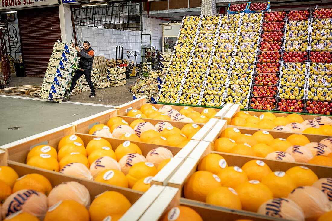 Fruit and Vegetable section, in Mercabarna. Barcelona´s Central Markets. Barcelona. Spain