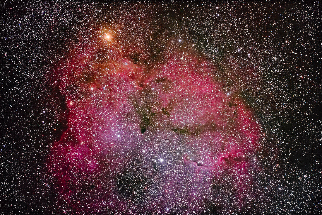 The large emission nebula IC 1396 in Cepheus with the orange “Garnet Star” at top, and the Elephant Trunk Nebula, van den Bergh 142, at bottom as a dark lane protruding into the emission nebula.