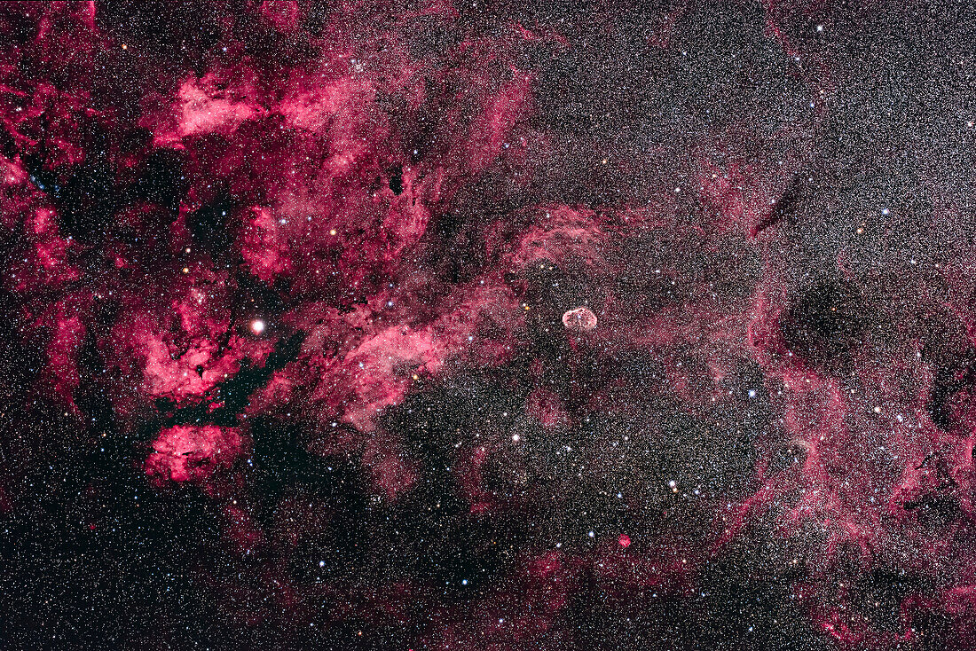 This is the central area of Cygnus and its bright Milky Way starcloud surrounded by red nebulosity. At left is the star Sadr (gamma Cygni) with the complex of nebulosity catalogued as IC 1318. At centre is the distinct Crescent Nebula, NGC 6888, a expanding nebula created by winds from a hot Wolf-Rayet star. At bottom left is the star cluster Messier 29, though looking a little lost in the rich starfields here. At top is the cluster IC 1311, looking more obvious than M29 but not observed visually and included in the NGC catalog. Odd. At far right are the large and loose star clusters NGC 6883 