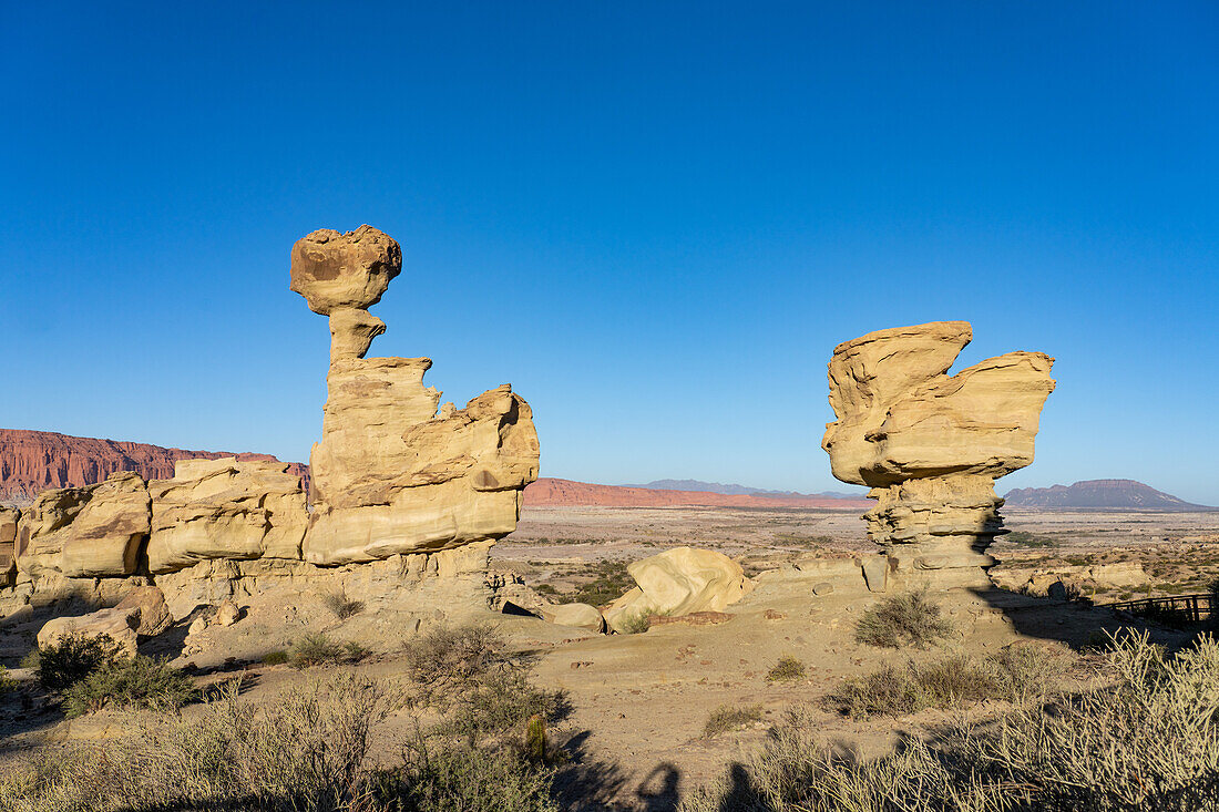 Die Submarine, eine erodierte Sandsteinformation im Ischigualasto Provincial Park in der Provinz San Juan, Argentinien.