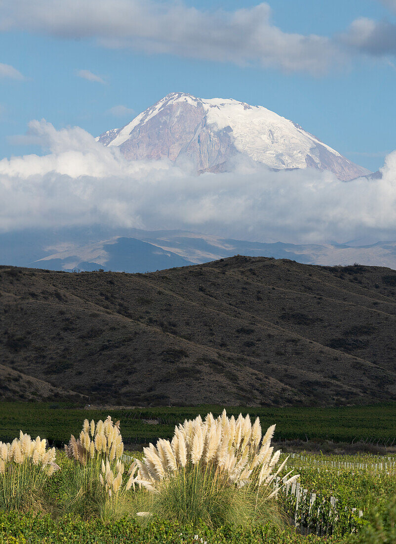 Morgenlicht beleuchtet den Vulkan Tupungato in den Anden in der Provinz Mendoza, Argentinien, mit Weinbergen im Vordergrund.