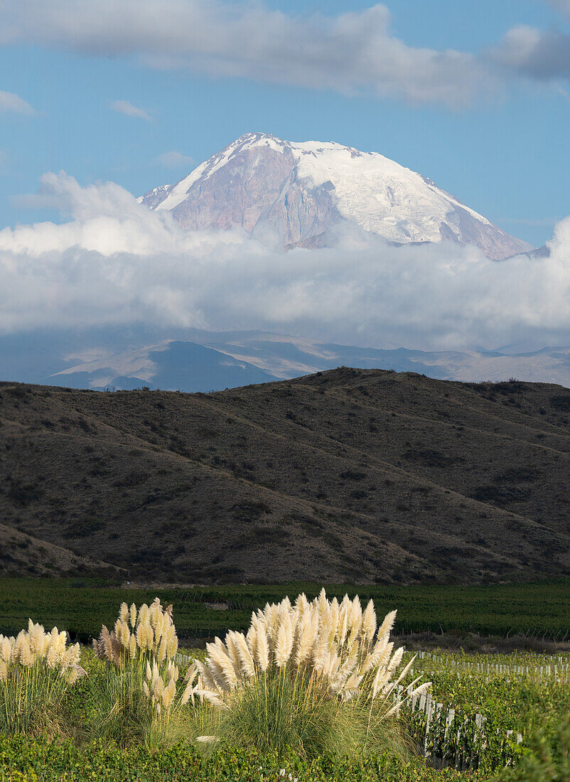 Morning light spotlighting the Tupungato Volcano in the Andes in Mendoza Province, Argentina with grape vineyards in the foreground.