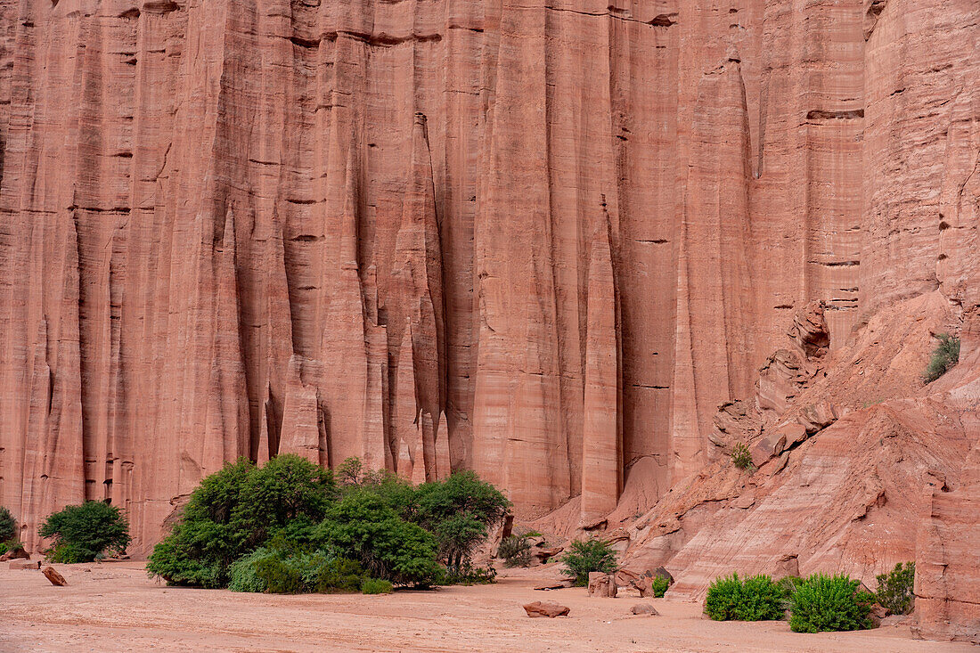 Die Türme der gotischen Kathedrale in der erodierten roten Sandsteinwand im Talampaya Nationalpark, Provinz La Rioja, Argentinien.