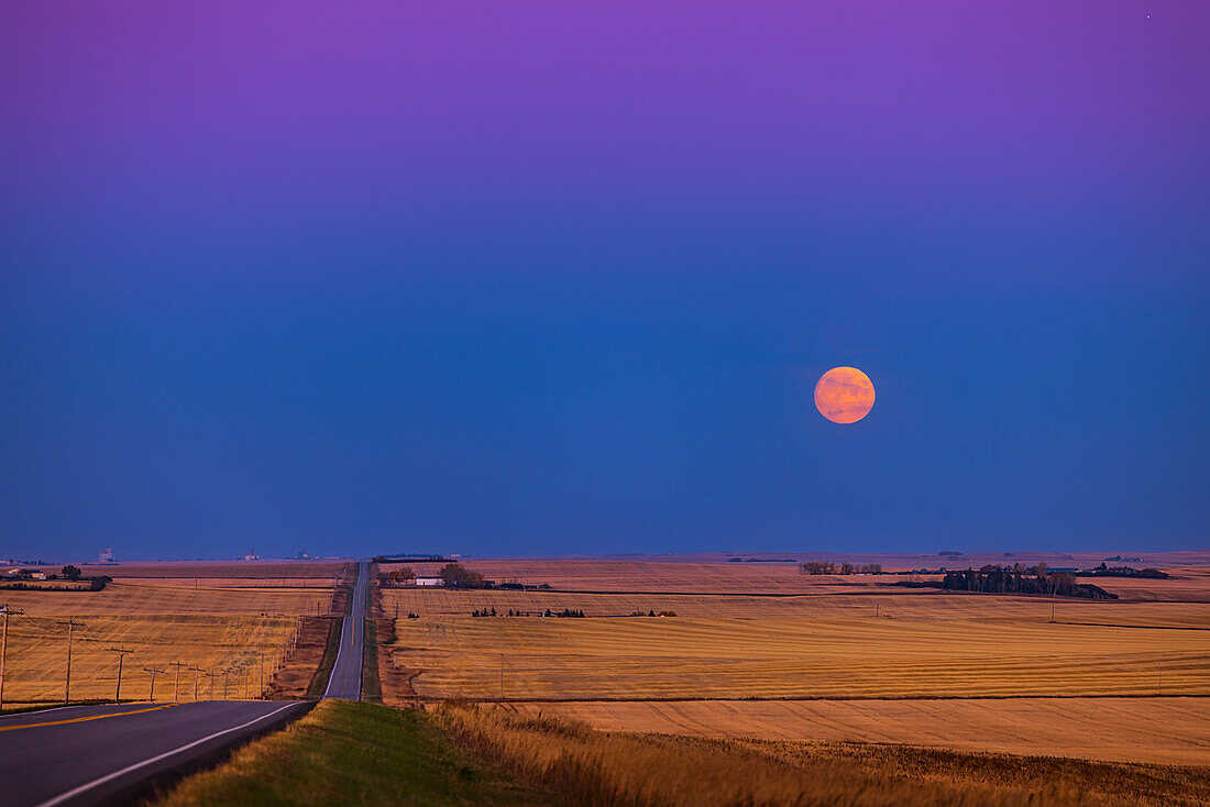 Der Aufgang des fast vollen Mondes am 8. Oktober 2022, des Jägermondes. Dies war der Abend vor dem offiziellen Tag des Vollmonds. Jupiter befindet sich ganz oben rechts.