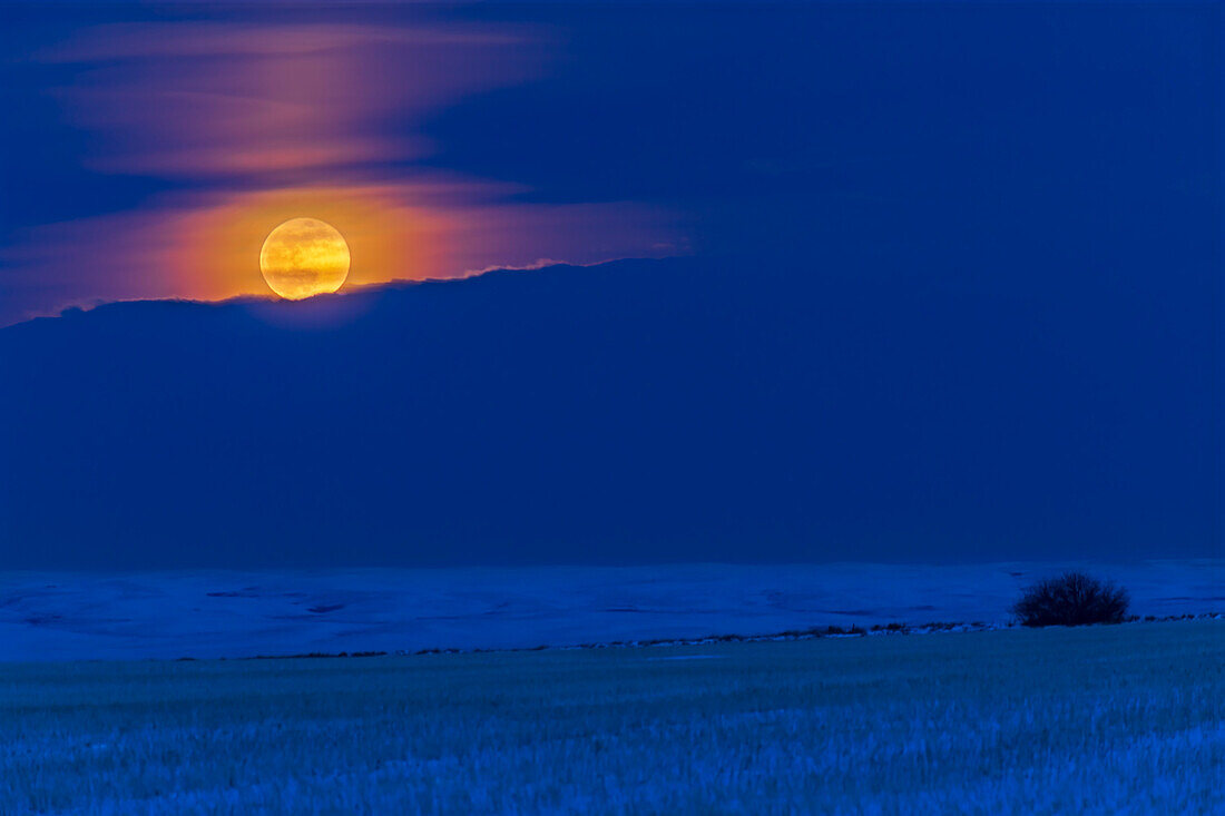 The “Super” Snow Moon of February 19, 2019, rising in the northeast over a snowy prairie field and distant rangeland hills in southern Alberta.