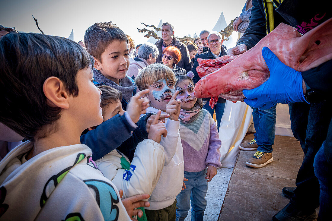 Show.Zeigt den Kindern einen Schweinekopf. Schlachter schlachtet ein Schwein. Firaporc, Schweinemesse, Riudellots de la Selva, Katalonien, Spanien