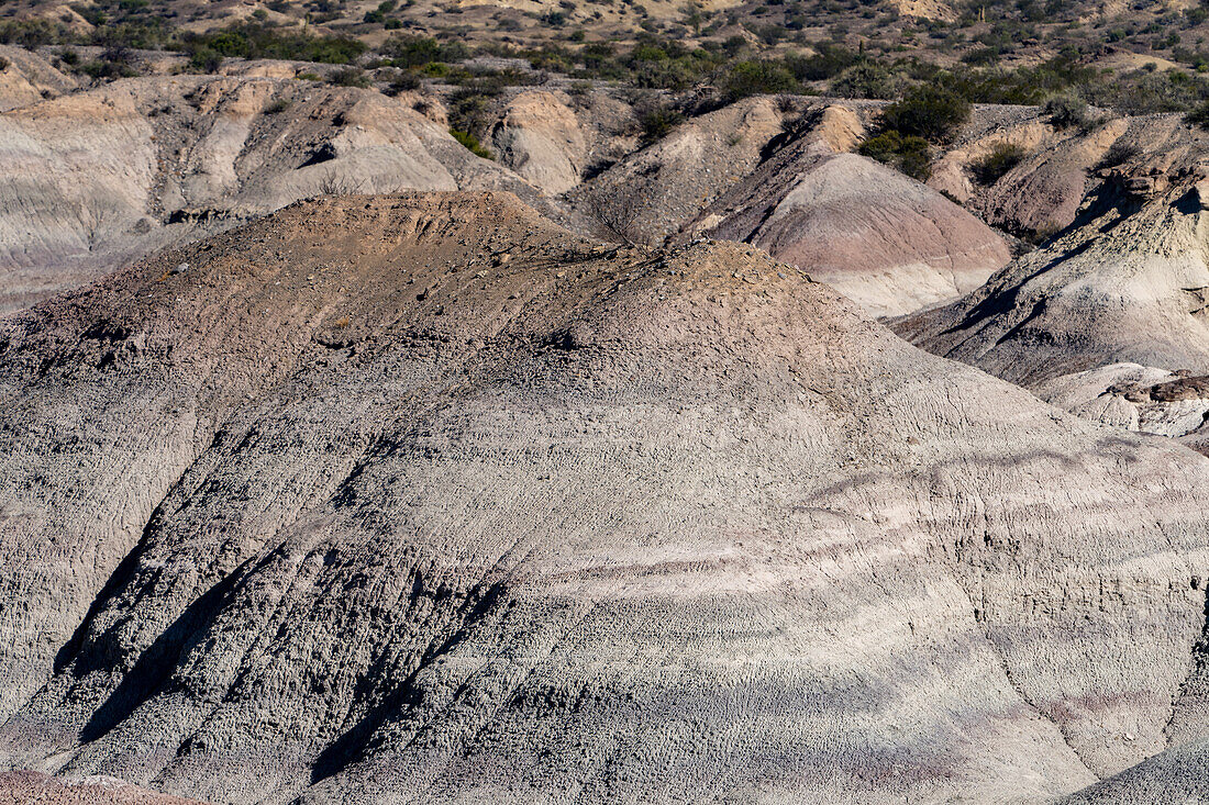 The barren landscape of the Valley of the Moon or Valle de la Luna in Ischigualasto Provincial Park in San Juan Province, Argentina.