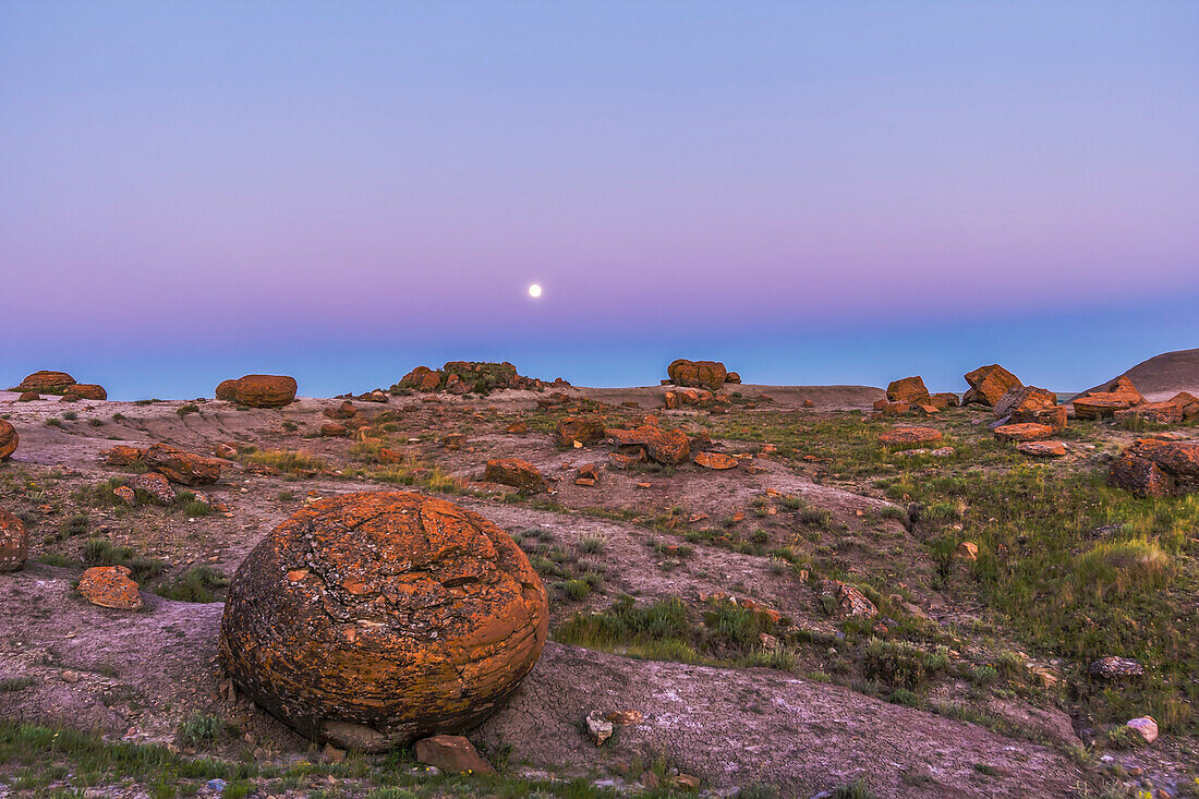 Der Vollmond vom 11. Juli 2014, der als "Supermond" bezeichnet wird, da er innerhalb eines Tages nach dem Perigäum auftrat, geht über den Sandsteinkonkretionen des Red Rock Coulee Naturgebiets im Süden von Alberta auf. Der Mond befindet sich knapp über dem rosafarbenen Gürtel der Venus und dem dunkelblauen Schatten der Erde, der im Osten aufgeht.