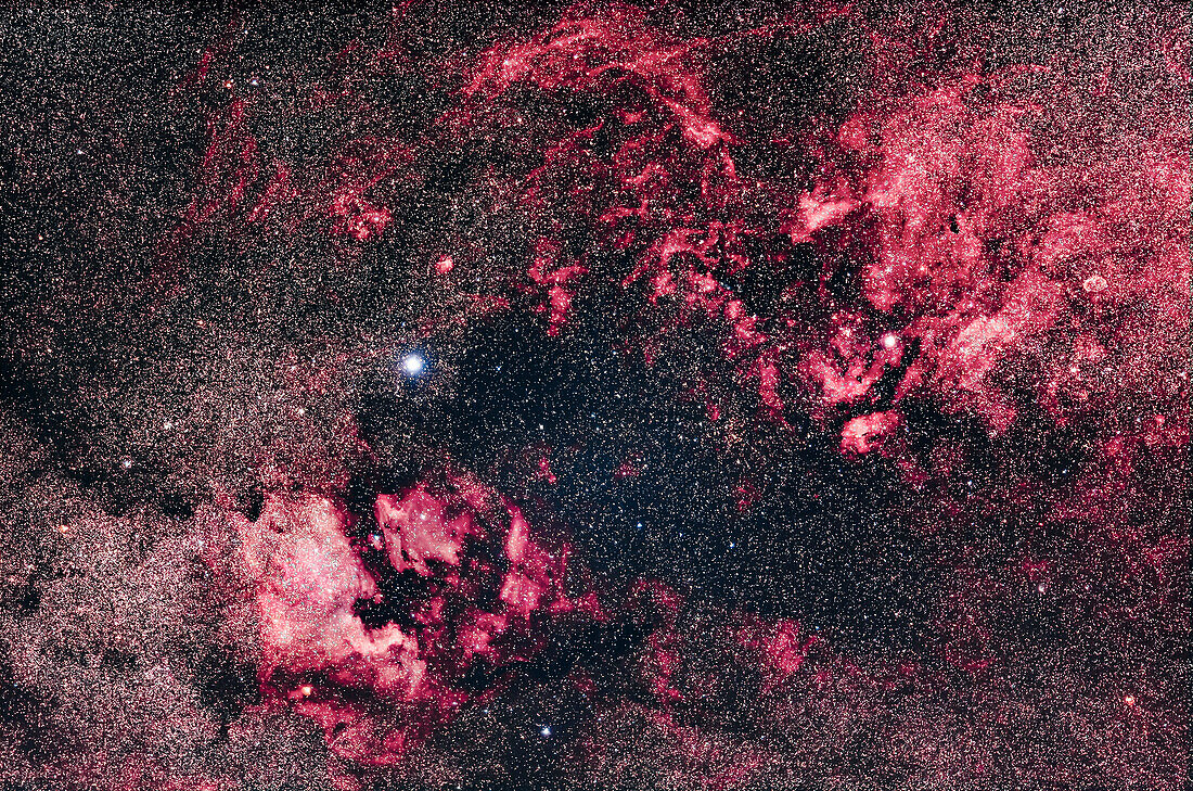 Dies ist der reiche Nebel in Cygnus, der in Farbe aufgenommen wurde, aber mit einer Mischung aus ungefilterten und gefilterten Bildern für eine Ha-RGB-Mischung, um den schwachen Nebel hervorzuheben.
