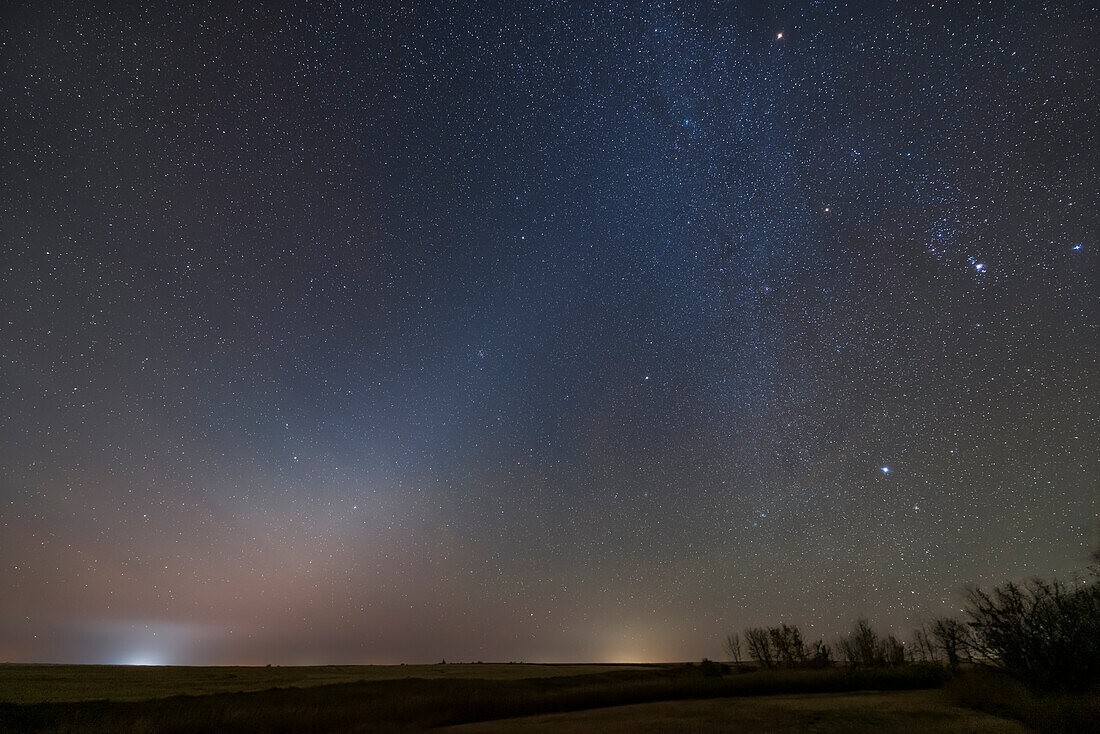 Das Zodiakallicht in der Morgendämmerung an einem Herbstmorgen, 7. Oktober 2022. Orion, Sirius und die winterliche Milchstraße sind rechts zu sehen; Mars ist das helle Objekt oben rechts. Der Bienenstock-Sternhaufen ist in der Mitte in das Licht eingebettet. Links geht der Löwe auf. Bänder aus Luftglühen färben den Himmel.