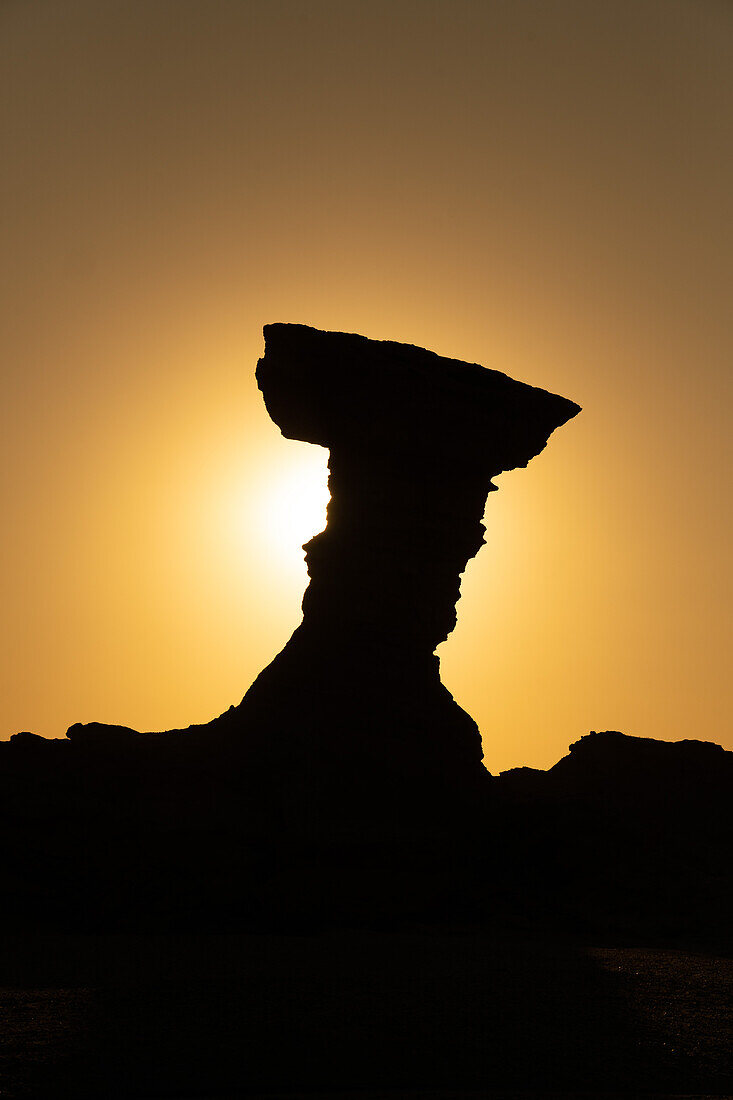 The Hongo or Mushroom, an eroded geologic formation in Ischigualasto Provincial Park, San Juan Province, Argentina.