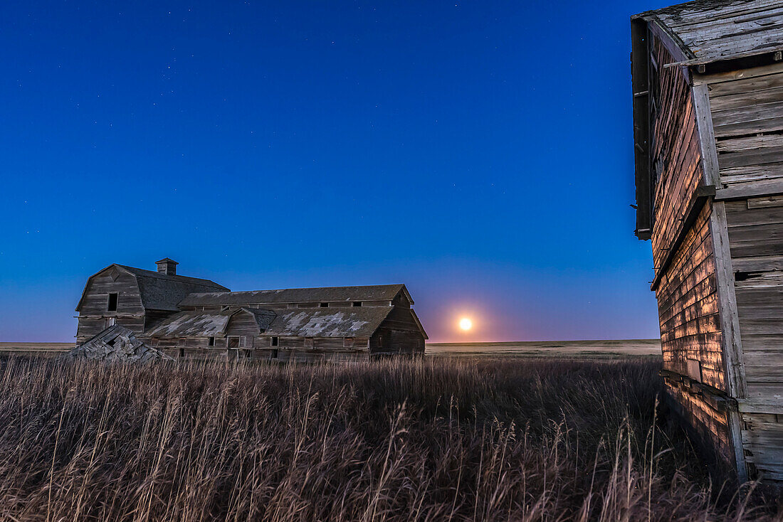 Der aufgehende Jäger-Vollmond am 27. Oktober 2015 an der alten Scheune in der Nähe des Hauses in Süd-Alberta. Dies ist ein Bild aus einer Zeitraffersequenz, mit einer 3-Sekunden-Belichtung bei f/5.6 und ISO 3200 mit der Nikon D750 und dem Sigma 24mm.