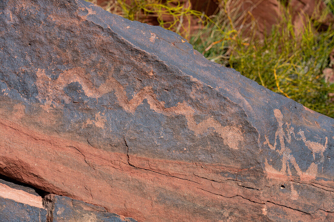 Prähispanische indigene Felszeichnungen oder Petroglyphen im Nationalpark Talampaya, Provinz La Rioja, Argentinien.