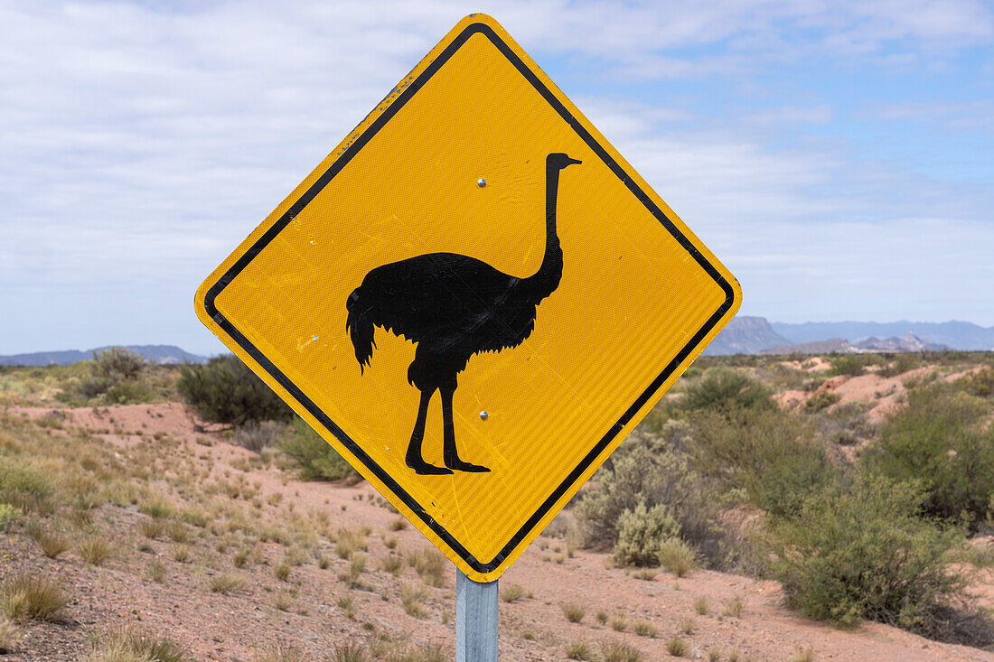 Ein Wildtier-Warnschild für den ñandu oder Rhea im Talampaya-Nationalpark, Provinz La Rioja, Argentinien.