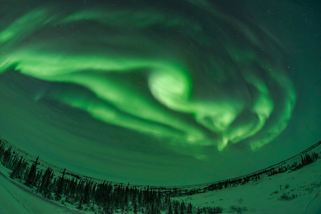 One of a short series of images showing the development of an aurora display from a classic arc into a more complex pattern of concentric arcs and with loops and swirls. This was Feb 5, 2019 from the Churchill Northern Studies Centre. The outburst lasted only 5 minutes or so and might have been due to the Bz interplanetary field turning south briefly. After this series, the display faded and fractured into faint arcs and a diffuse glow across the sky.