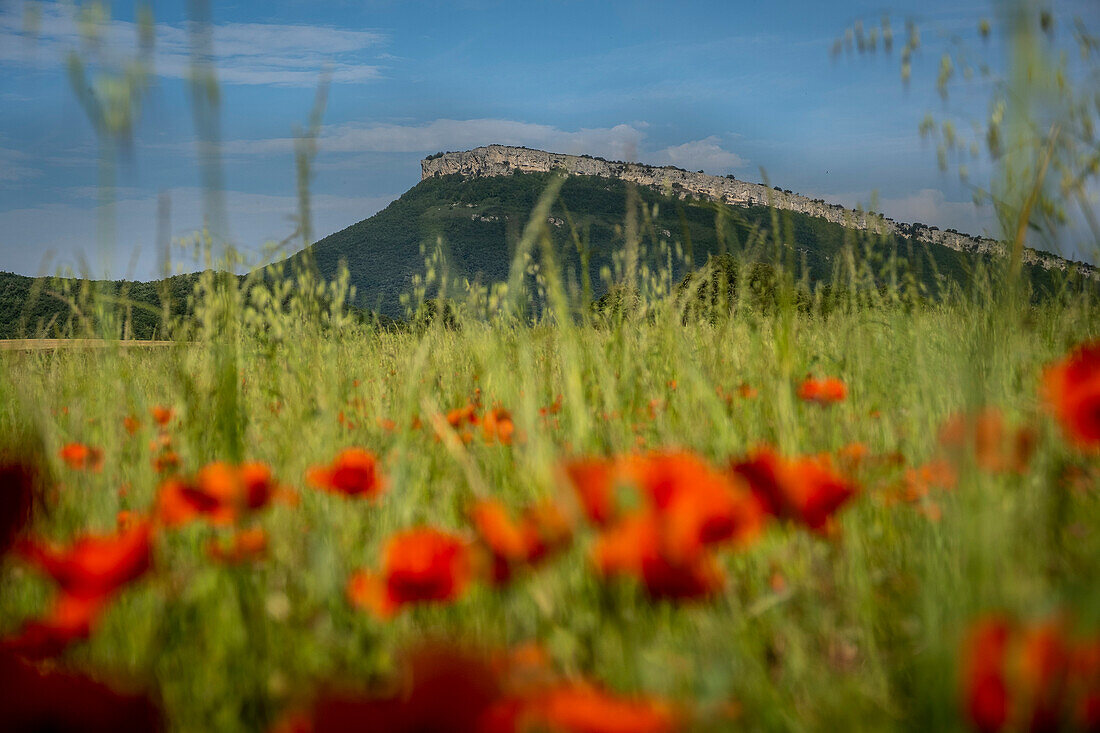 Naturpark Izki, Baskenland, Spanien