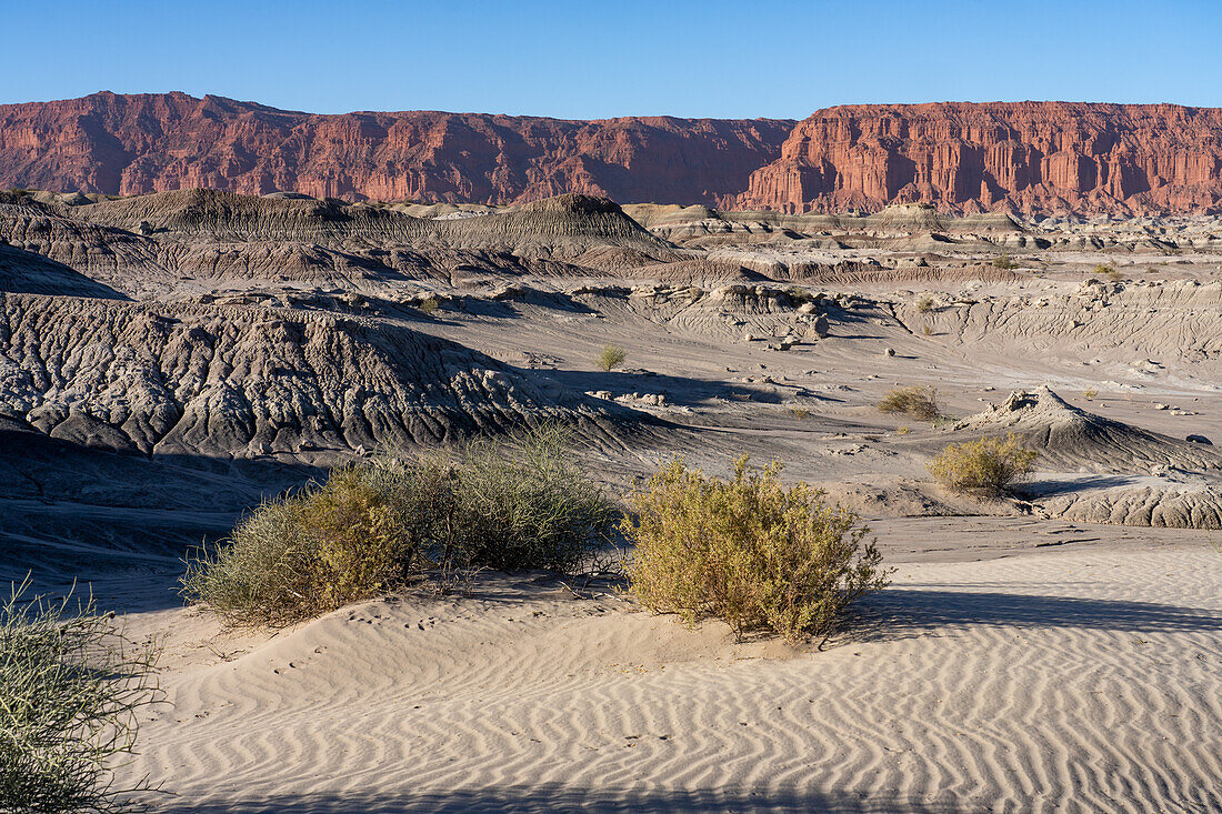 Ripples in den Sanddünen in der kargen Landschaft im Ischigualasto Provincial Park in der Provinz San Juan, Argentinien.