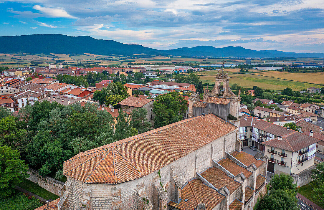 roof of Santa Maria church and Salvatierra skyline. Alava. Basque country. Spain