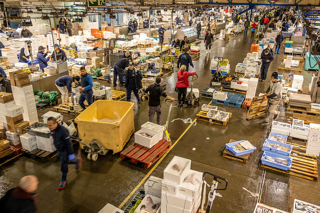 Fish and seafood section, in Mercabarna. Barcelona´s Central Markets. Barcelona. Spain