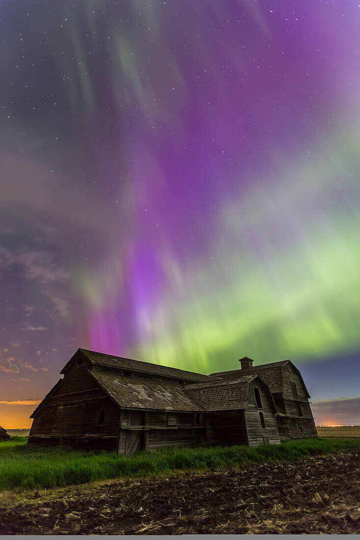 An all-sky aurora with green and purple curtains, the night of June 7-8, 2014, starting up about 12:30 and going until dawn. This shot was near its peak, from the old barn site near home in southern Alberta. Foreground illumination is from the aurora and ambient sky -- the Moon had set. The Big Dipper is above the Barn. The purple colour is from blue scatttered sunlight hitting the red tops of the auroral curtains. This was with the 16-35mm lens at f/3.2 for 20 seconds at ISO 1600 with the Canon 6D.