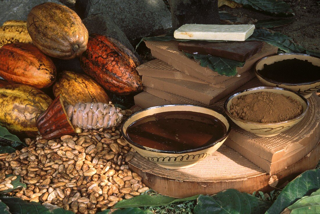 Still life with cacao fruits, cocoa beans and end products