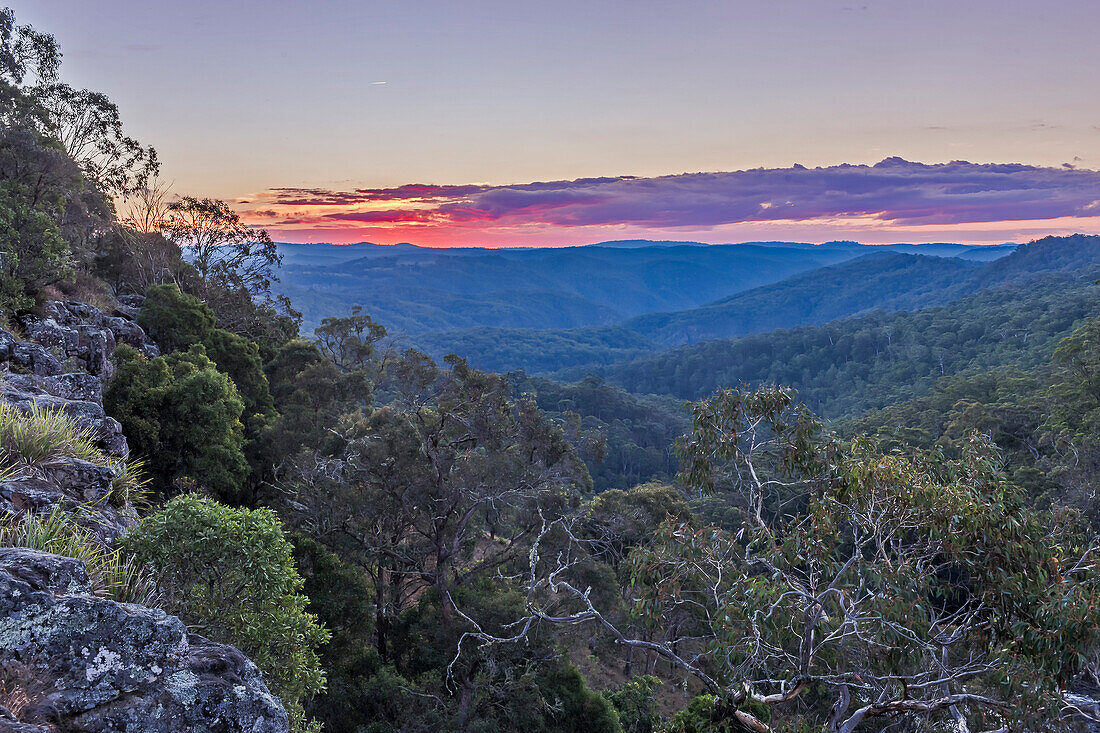 Sunset at Ebor Falls on the Waterfall Way between Armidale and Dorrigo, NSW, Australia. These are the New England Tablelands, but very different from the forests of New England, USA. These are primeval euclalypts, beeches and ferns – a temperate rainforest on the coastal Dividing Range of New South Wales. In this direction we are looking into Guy Fawkes River National Park.