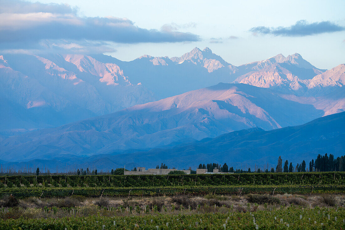 Grape vineyards & a winery in the Valle de Uco with the Andes Mountains behind. Tupungato, Mendoza Province, Argentina.