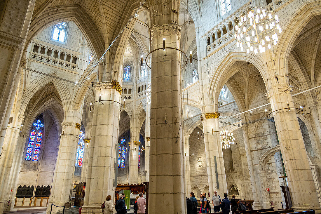 Guided visit, in Catedral Vieja, or Catedral de Santa Maria, Vitoria, Gasteiz, Álava, Basque Country, Euskadi, Euskal Herria, Spain