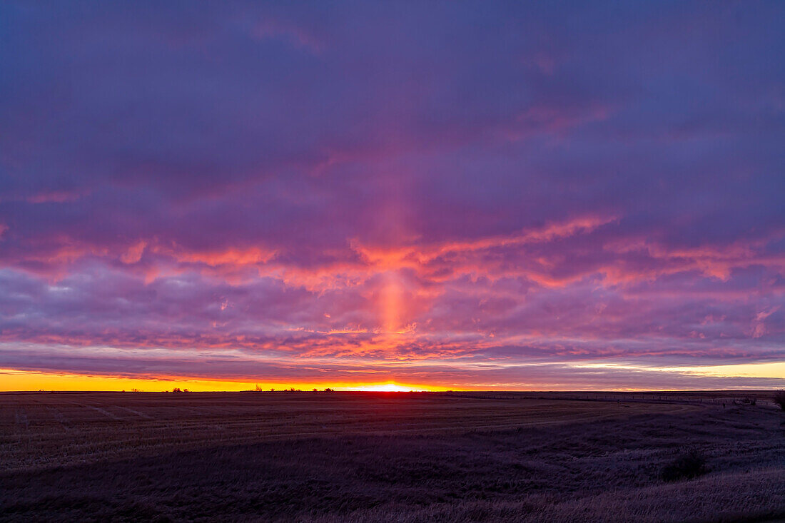 A light pillar off the rising Sun, from home on October 27, 2019. This is caused by light reflecting off flat ice crystals in the air on this frosty fall morning.