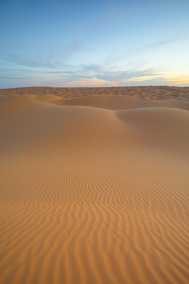Frühlings-Sonnenuntergang vor den Toren der Sahara, die Sanddünen werden vom goldenen Licht beleuchtet, Tunesien, Nordafrika, Afrika