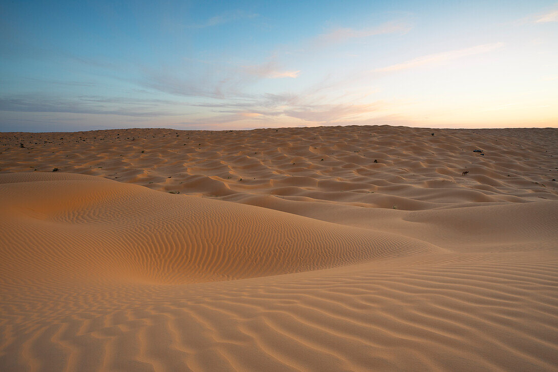 Frühlingssonnenuntergang vor den Toren der Wüste Sahara, die Sanddünen im goldenen Licht, Tunesien, Nordafrika, Afrika