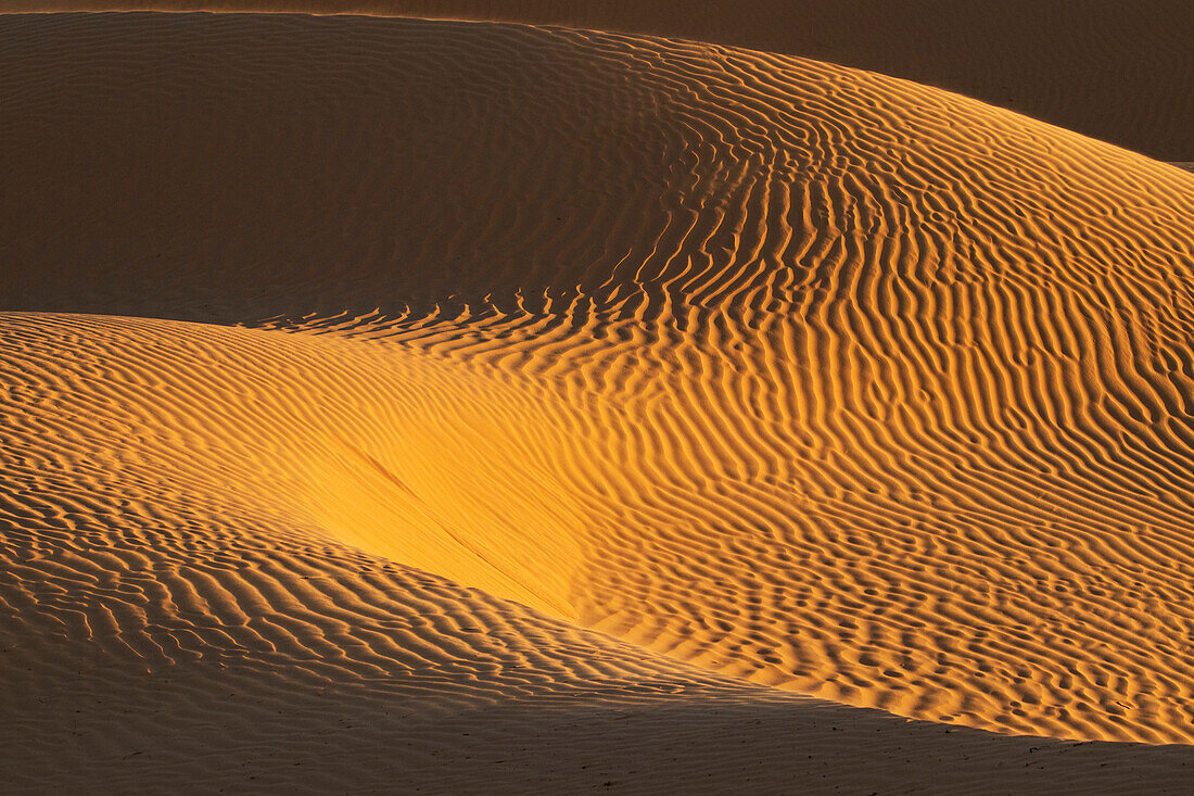 Frühlings-Sonnenuntergang vor den Toren der Wüste Sahara, die Sanddünen werden vom goldenen Licht beleuchtet, Tunesien, Nordafrika, Afrika