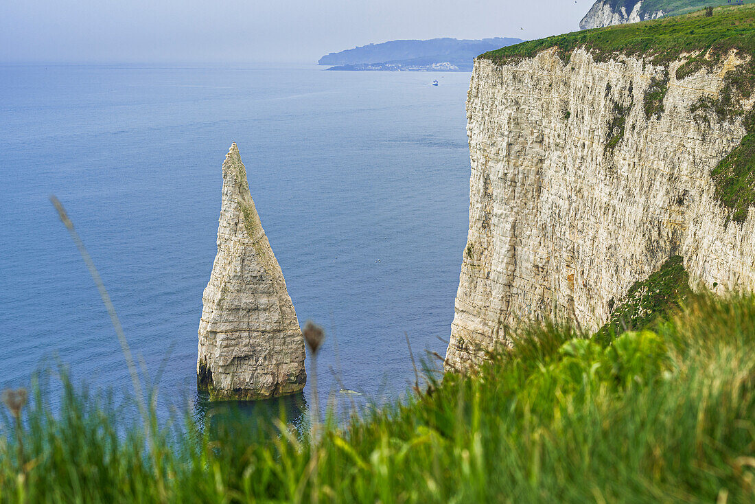 Pinnacle of rock off the Jurassic Coast, Old Harry Rocks, UNESCO World Heritage Site, Studland, Dorset, England, United Kingdom, Europe