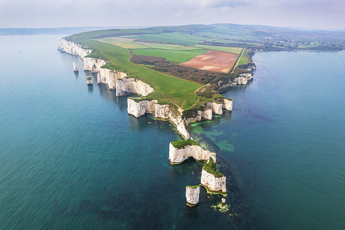 Aerial view of the white cliffs of Old Harry Rocks, Jurassic Coast, UNESCO World Heritage Site, Studland, Dorset, England, United Kingdom, Europe