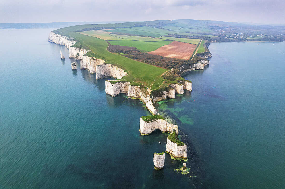 Luftaufnahme der weißen Klippen von Old Harry Rocks, Jurassic Coast, UNESCO Weltkulturerbe, Studland, Dorset, England, Vereinigtes Königreich, Europa