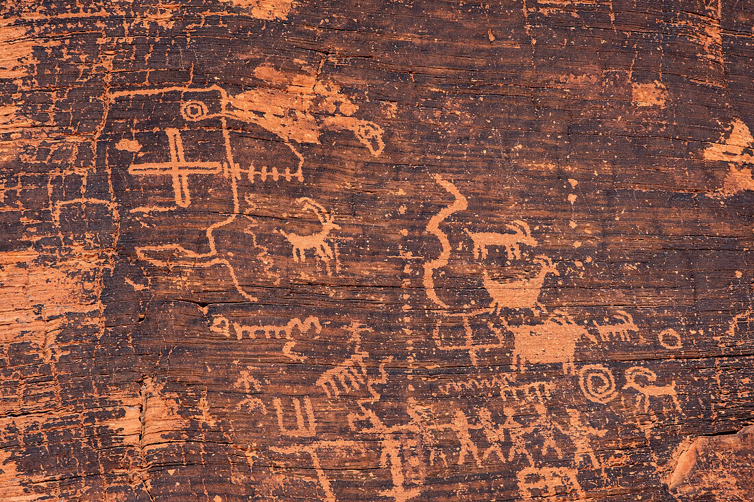 Felszeichnungen der amerikanischen Ureinwohner (Petroglyphen) an der Canyon Wall, Petroglyph Canyon, Mouse's Tank Trail, Valley of Fire State Park, Nevada, Vereinigte Staaten von Amerika, Nordamerika