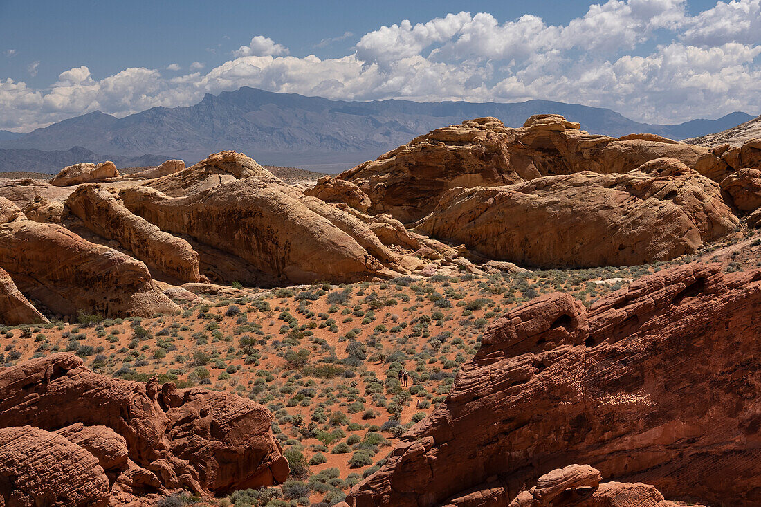 Touristen wandern durch die Wüstenlandschaft des Valley of Fire State Park, Nevada, Vereinigte Staaten von Amerika, Nordamerika