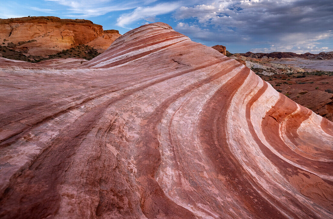 Flowing Lines an der Feuerwelle, Valley of Fire State Park, Nevada, Vereinigte Staaten von Amerika, Nordamerika