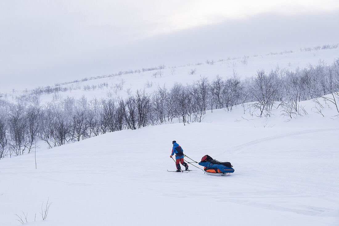 Langläufer, der im Winter einen Schlitten über die abgelegene Finnmark-Hochebene zieht, bei Alta, Finnmark-Hochebene, Troms og Finnmark, Norwegen, Skandinavien, Europa