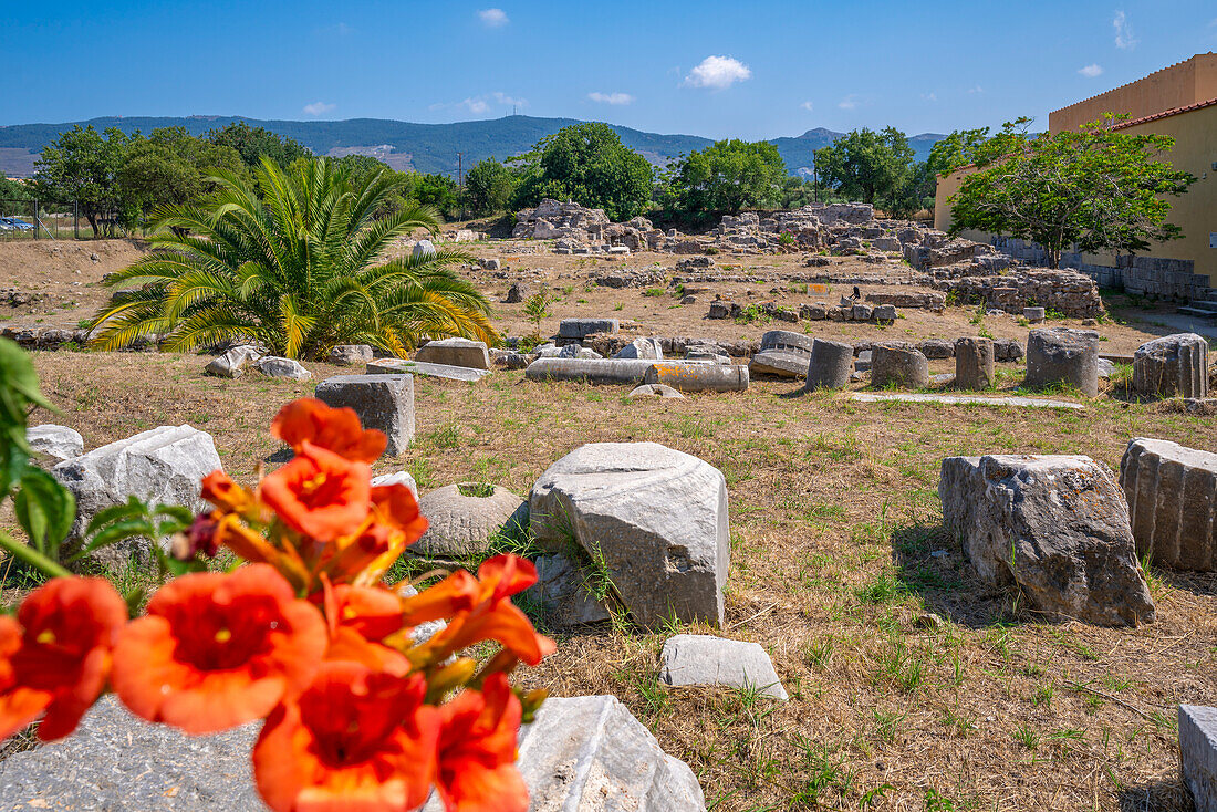 Blick auf Römische Thermalbäder, Kos Stadt, Kos, Dodekanes, Griechische Inseln, Griechenland, Europa