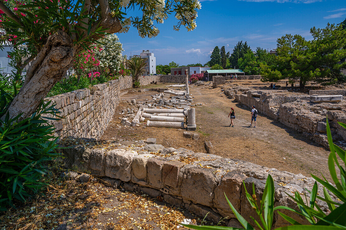 Blick auf die antike Agora und blühende Bäume, Kos-Stadt, Kos, Dodekanes, Griechische Inseln, Griechenland, Europa