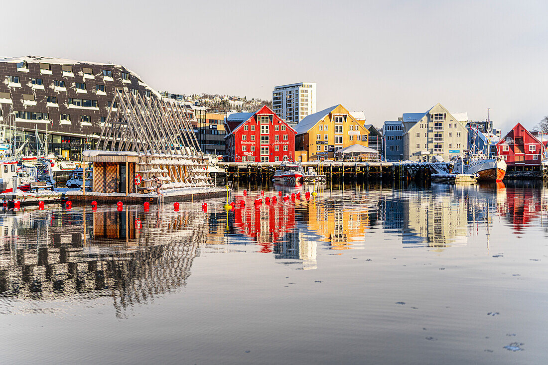 Bunte Häuser am Hafen spiegeln sich in der kalten See in der Morgendämmerung, Tromso, Norwegen, Skandinavien, Europa