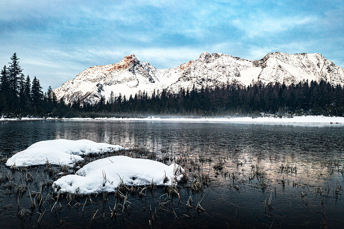 Verschneiter Wald und Berge um den zugefrorenen Entova-See, Valmalenco, Valtellina, Lombardei, Italien, Europa